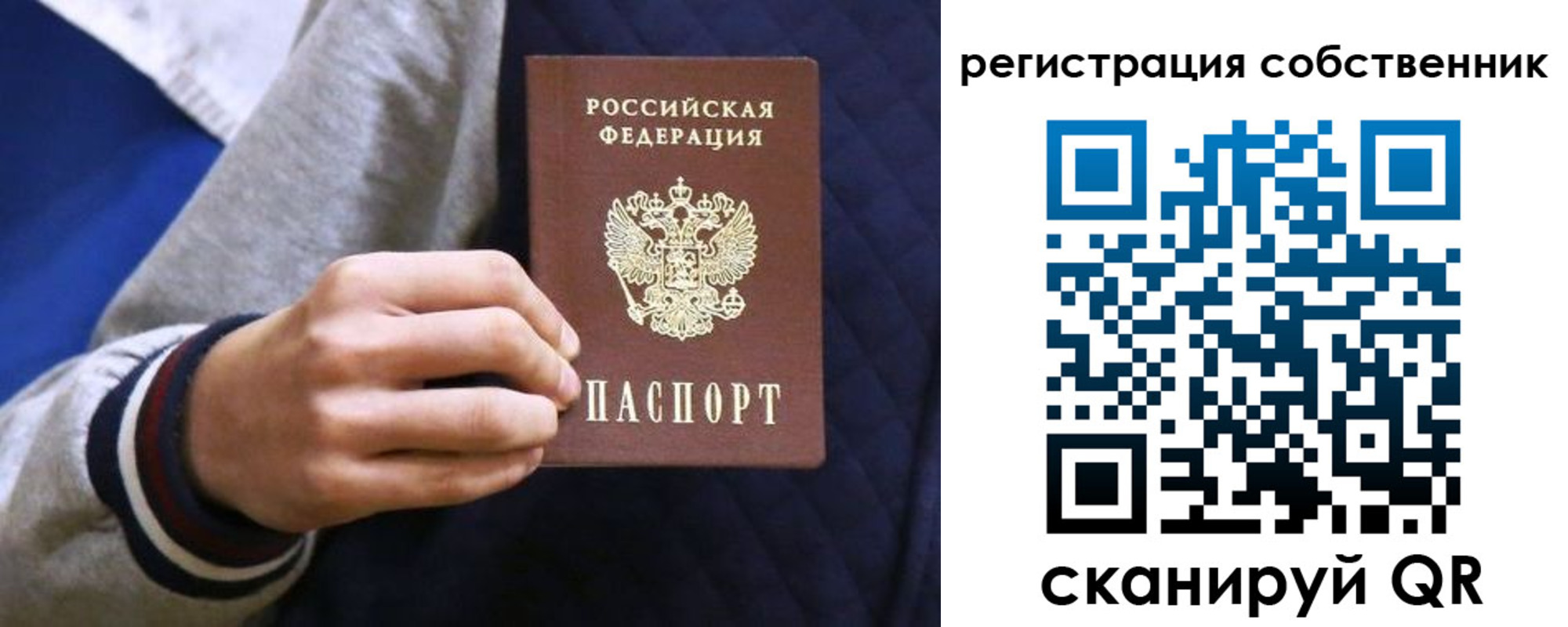 прописка поиск в Менделеевске